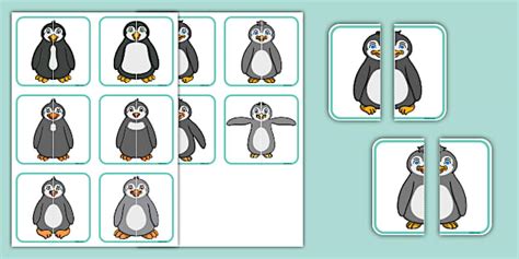 Penguin Symmetry Matching Cards | Twinkl | Penguin Awareness