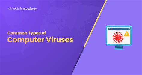 Types of Computer Virus 的图像结果