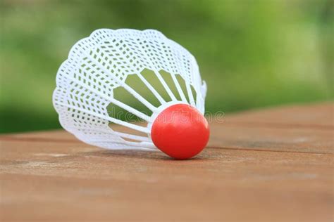 Playing Badminton 的图像结果