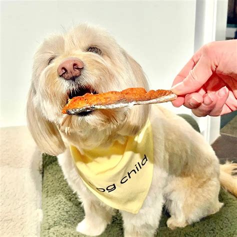 Homemade Air Fried Chicken Jerky for Dogs - Dog Child