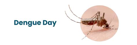 National Dengue Day: Awareness and Prevention Strategies