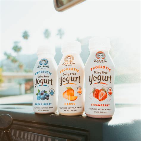 Probiotic Dairy Free Yogurt Drink Strawberry 8oz – Califia Farms