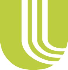 Unication Programming 的图像结果