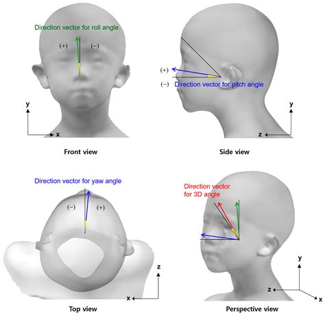 What Is Tilt Of The Head at Maddison Alexis blog