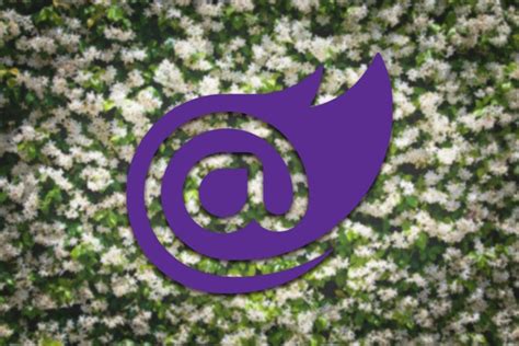 Blazor Load Testing 的图像结果