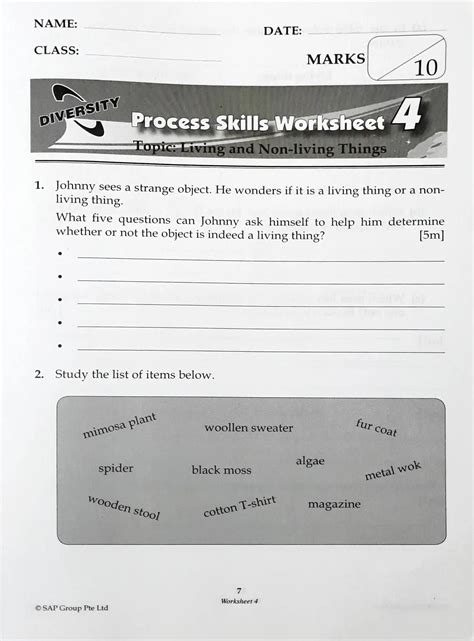 SAP Science Process Skills Lower Block 3/4 – Books and You