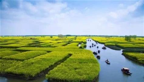 中国多鱼米之乡，四川、湖南、江苏、黑龙江……谁才是第一粮仓？_腾讯新闻