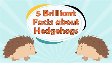 Fun Learning Activities: Engaging Ways for Kids to Grow & Explore - LearningMole