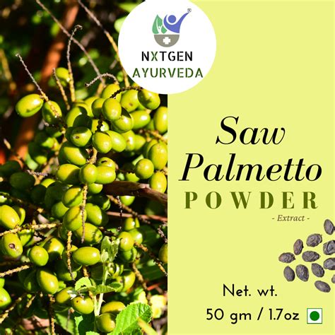 Saw Palmetto Online|Saw Palmetto Powder Bangalore|For Prostate and Hair ...