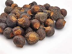 Image result for Soapberry