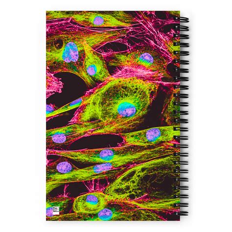 Sample Design for Biotechnology Notebook 的图像结果