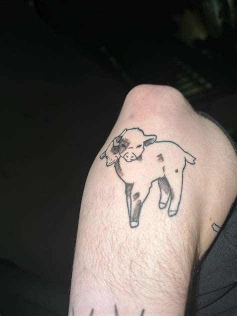 My Two-Headed Calf tattoo done at Southern Customs, Fayetteville NC : r ...
