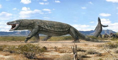 An extinct giant goanna (Megalania prisca), the largest lizard known ...