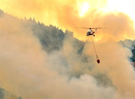 灭火飞机对森林消防究竟意味着什么？_通航信息_通航_通用航空_General Aviation