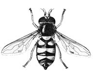 Image result for Digital Matrix Code
