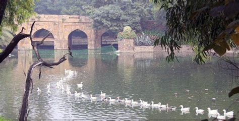 1 जनवरी से हाईटेक होगा लोधी गार्डन, पेड़ों में लगेंगे QR कोड - trees at ...