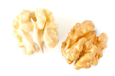 Nuez En Ingles - Banco de fotos e imágenes de stock - iStock