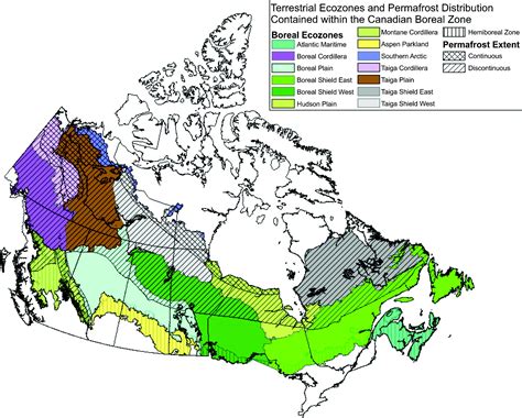 Anticipating the consequences of climate change for Canada’s boreal forest ecosystems