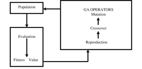Genetic Algorithm Evolution 的图像结果