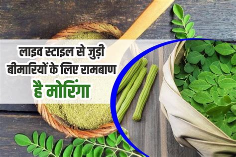Moringa Cultivation: लाइव स्टाइल से जुड़ी बीमारियों के लिए रामबाण है ...