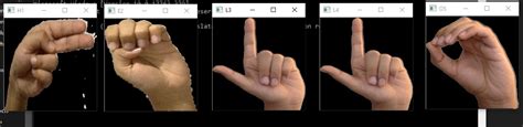 Image result for Python Display Image