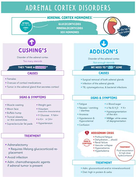 Adrenal Cortex Disorders - Cushing’s vs Addison’s Guide