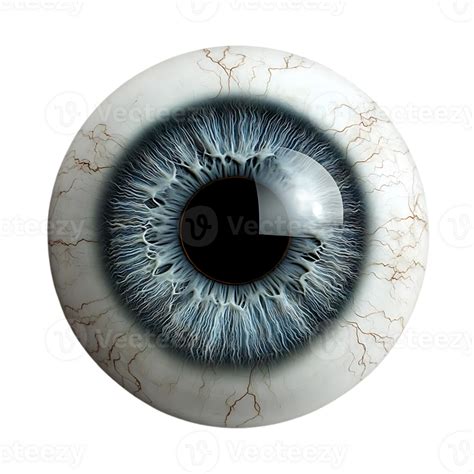 Blue Eye with Transparent Background, Isolated, Realistic, High ...