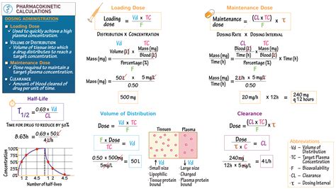 Clinical Pharmacology: Pharmacokinetic Calculations | ditki medical & biological sciences