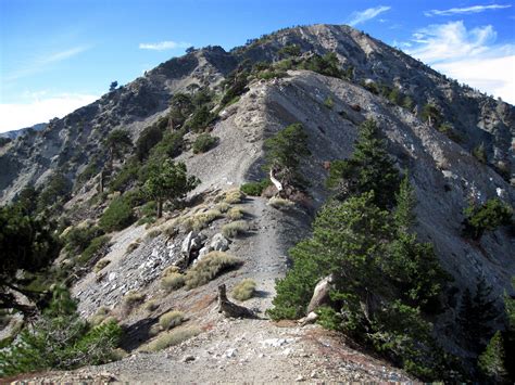 Mt Baldy - via Devil's Backbone - LA Trail Hikers