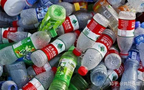 襄阳市区投放6台智能垃圾回收箱 实行城市生活垃圾分类_中国湖北_中国网