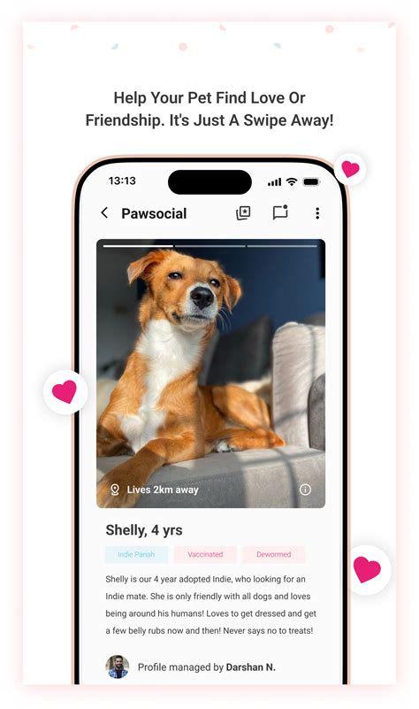 Tale of Tails | Pet Care Assistant