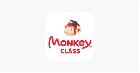 Image result for Code Monkey for Class Pp