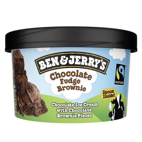 Ben & Jerry's Chocolate Fudge Brownie Ice Cream 100ml - One Stop