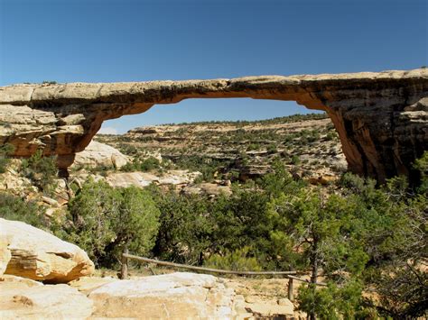 Loop Trail 的图像结果