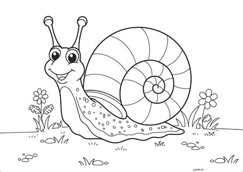 Funny little snail - Snail Coloring Pages