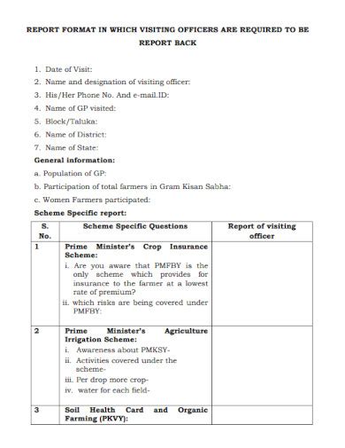 Report Format Example 的图像结果