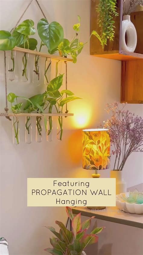 Glass Planter – Ecofynd