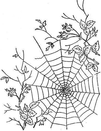 Web Drawing 的图像结果