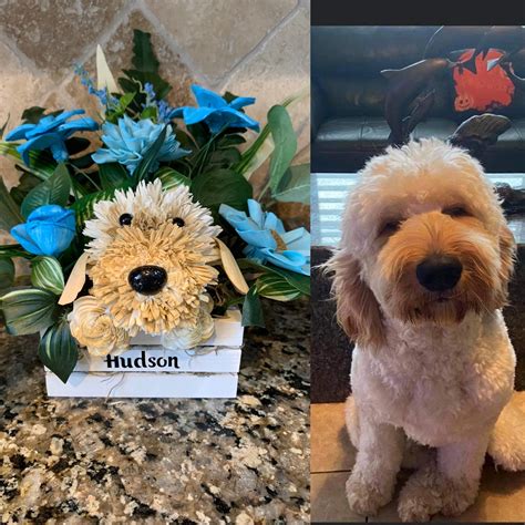 Custom Medium Personalized Dog Flower Arrangement in a Pail | Etsy