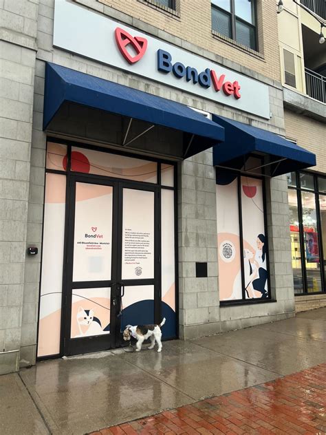 Bond Vet on LinkedIn: #veterinarymedicine #veterinaryclinic #vetmed #newjerseyveterinarians