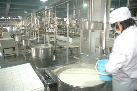 豆腐加工需要什么设备 永进豆制品生产线