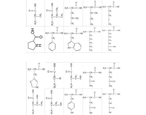Amino acids Quiz