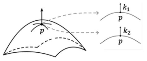Systematic Classification of Curvature and Feature Descriptor of 3D ...