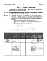 Module 4 Lesson 2 的图像结果