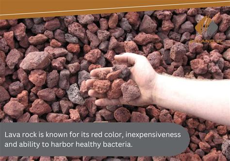 Lava Rock: What It Is, And How To Use It In Your Landscaping