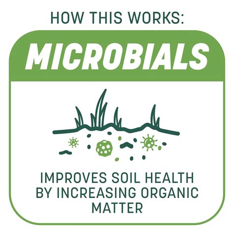 Pennington Smart Patch 10-lb Tall Fescue Lawn Repair Mix 100545665 at ...