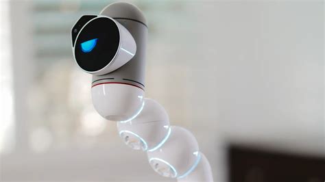 Data Process Utility 的图像结果