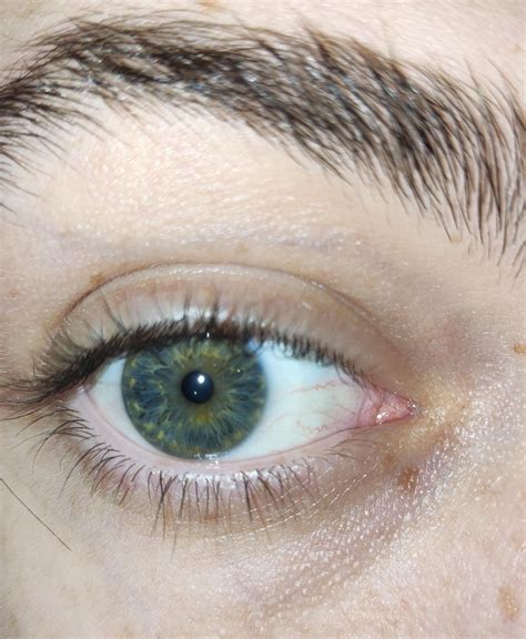 What color are my eyes ? : r/eyes