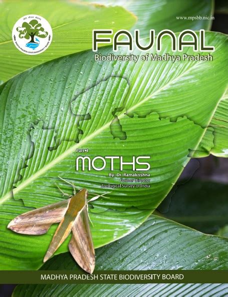 Madhya Pradesh State Biodiversity Board (MPSBB)