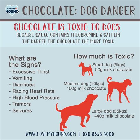 Is Chocolate Dangerous For Dogs